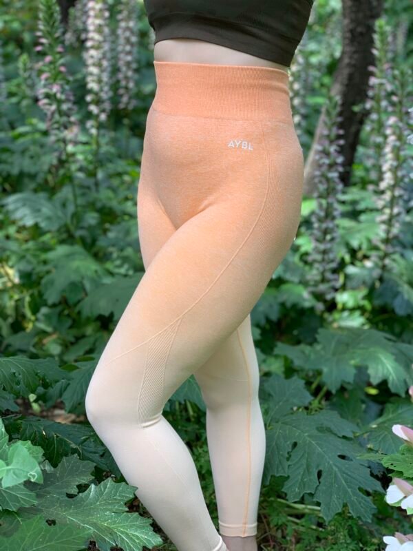 AYBL - Pulse ombre seamless legging (S/36)